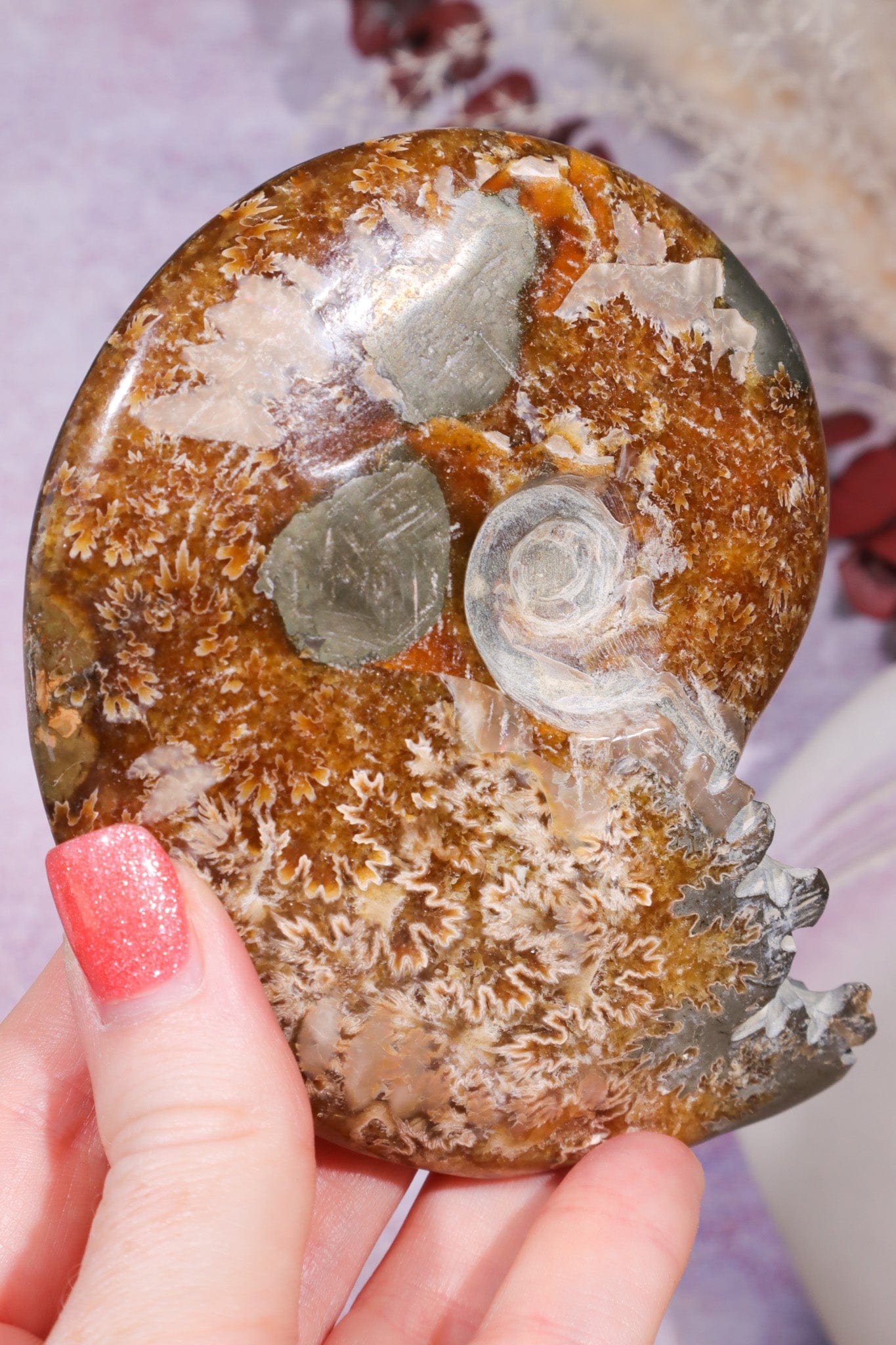 Ammonite From Madagascar with Pyrite 10.5cm Fossil Tali & Loz Crystals