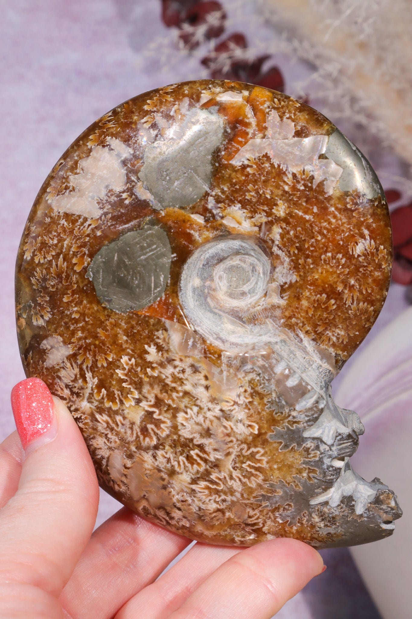 Ammonite From Madagascar with Pyrite 10.5cm Fossil Tali & Loz Crystals