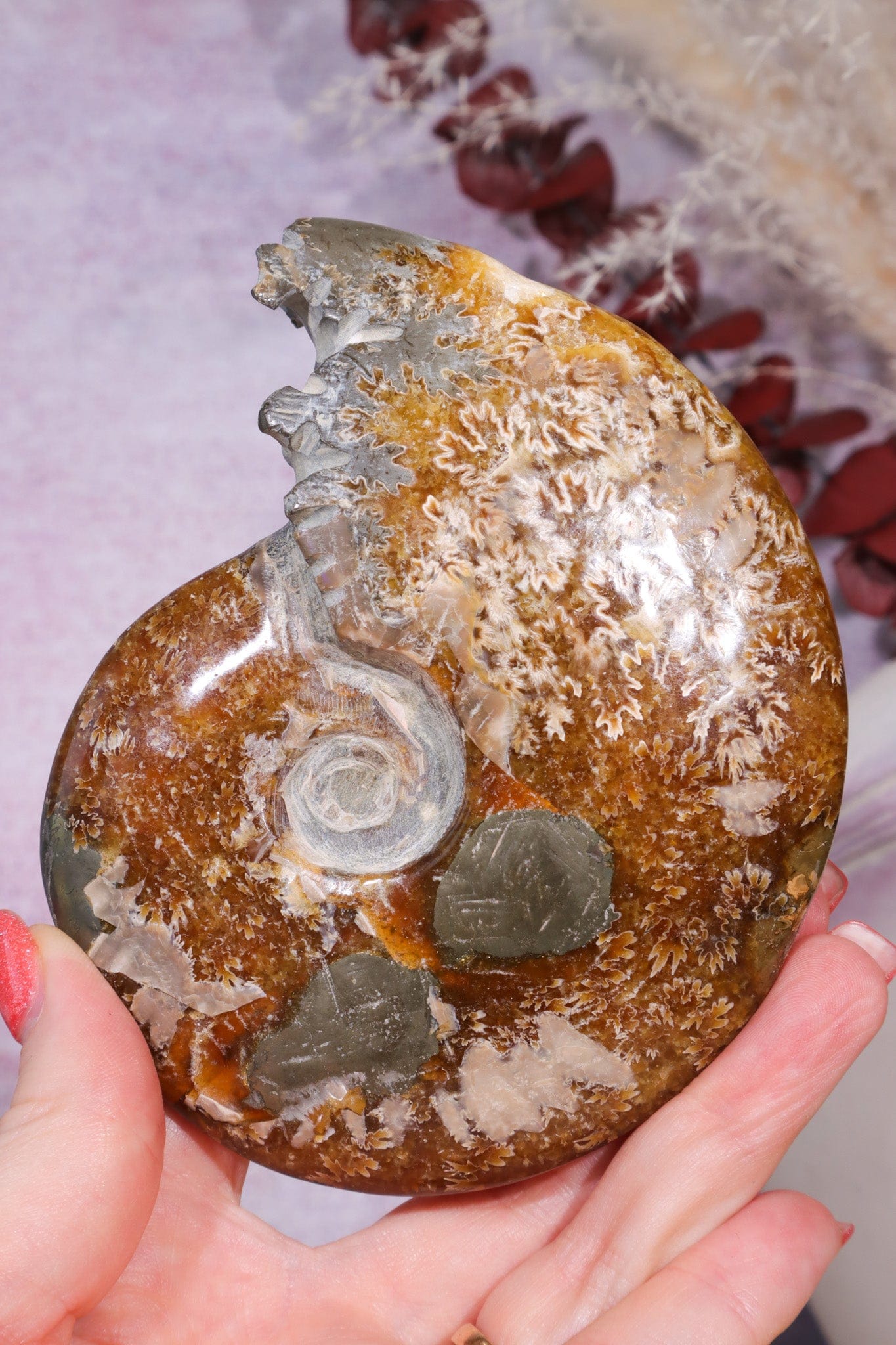 Ammonite From Madagascar with Pyrite 10.5cm Fossil Tali & Loz Crystals