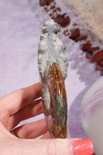 Ammonite From Madagascar with Pyrite 10.5cm Fossil Tali & Loz Crystals