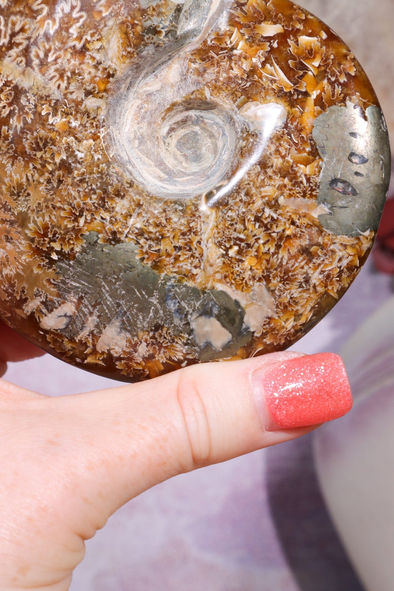 Ammonite From Madagascar with Pyrite 10.5cm Fossil Tali & Loz Crystals