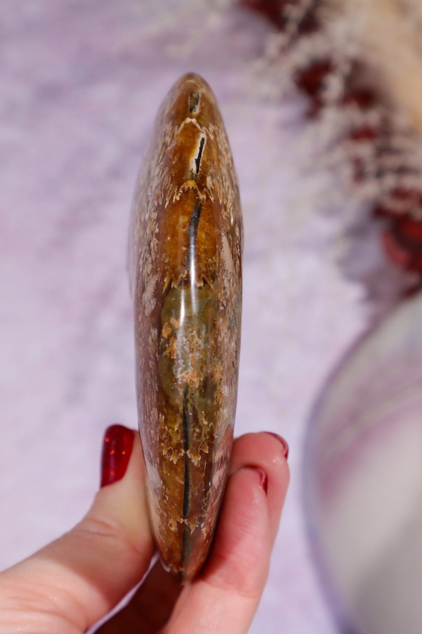 Ammonite From Madagascar with Pyrite 10.5cm Fossil Tali & Loz Crystals