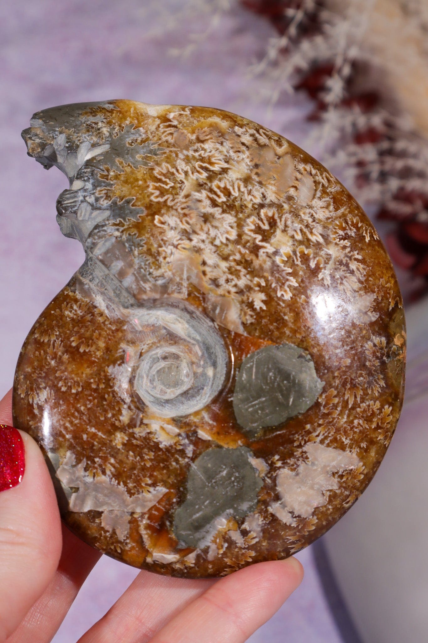Ammonite From Madagascar with Pyrite 10.5cm Fossil Tali & Loz Crystals
