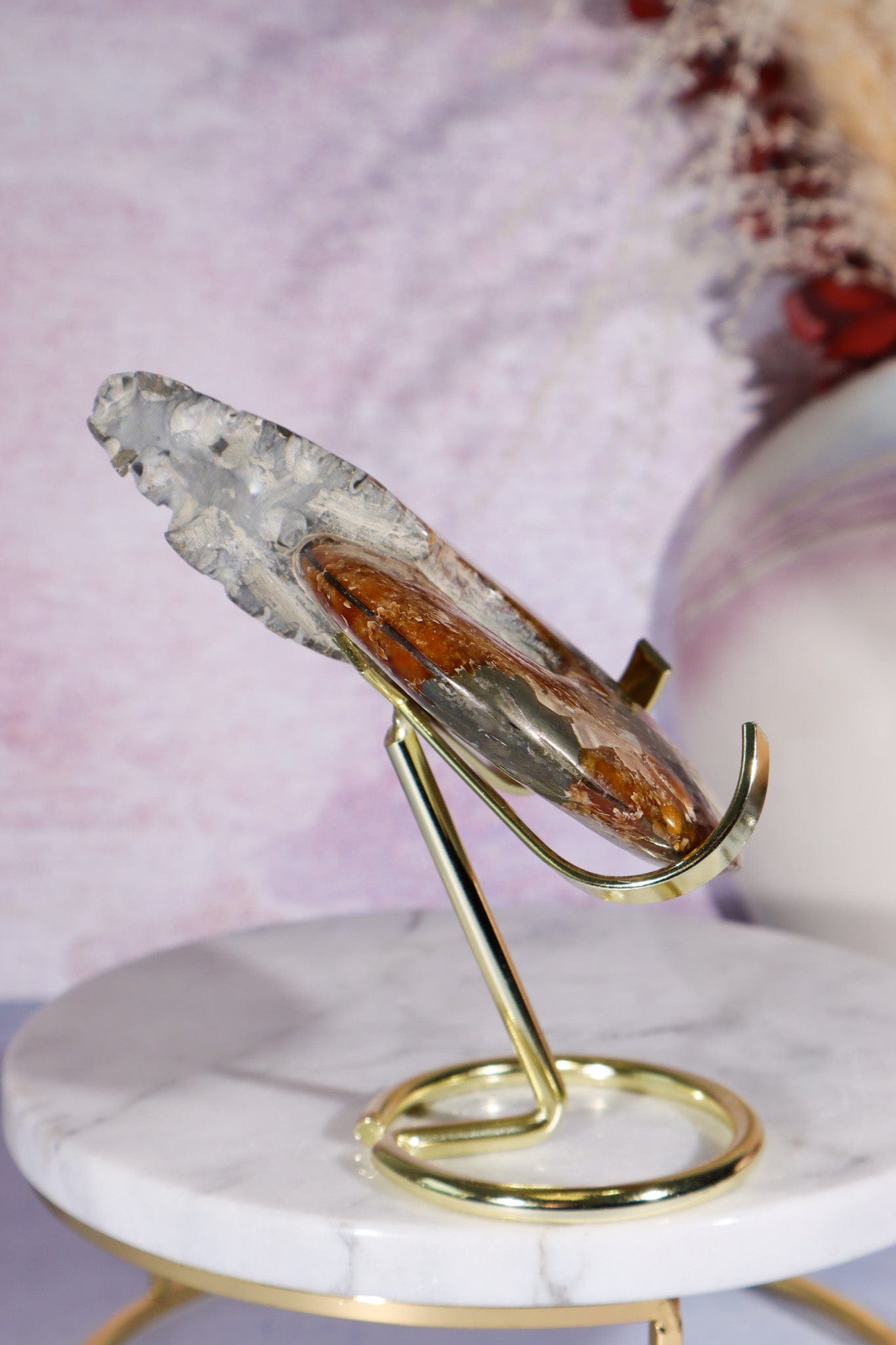 Ammonite From Madagascar with Pyrite 10.5cm Fossil Tali & Loz Crystals