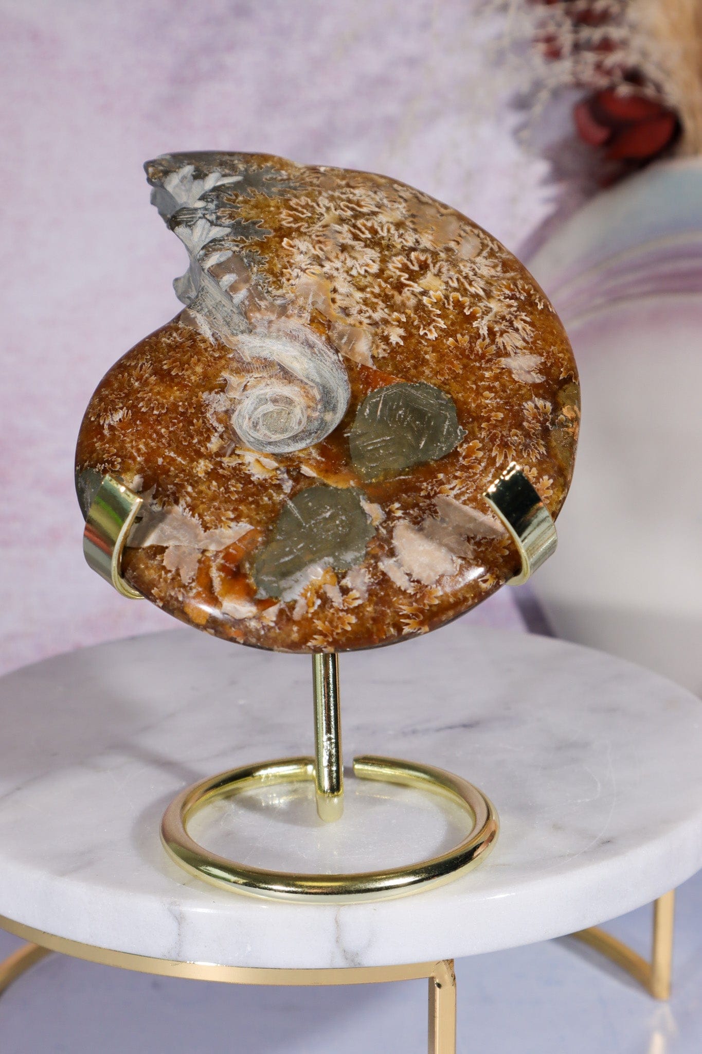Ammonite From Madagascar with Pyrite 10.5cm Fossil Tali & Loz Crystals