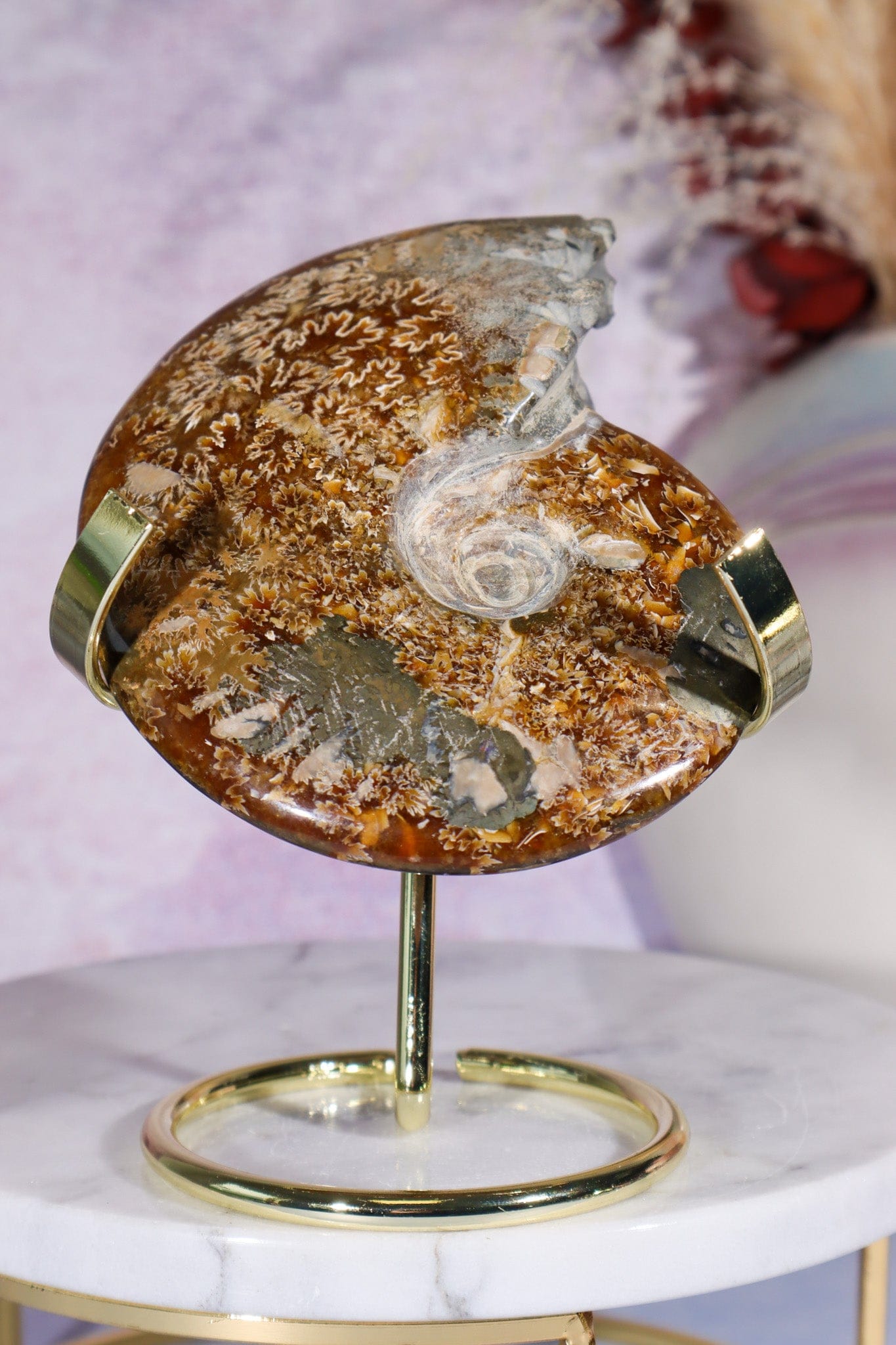 Ammonite From Madagascar with Pyrite 10.5cm Fossil Tali & Loz Crystals