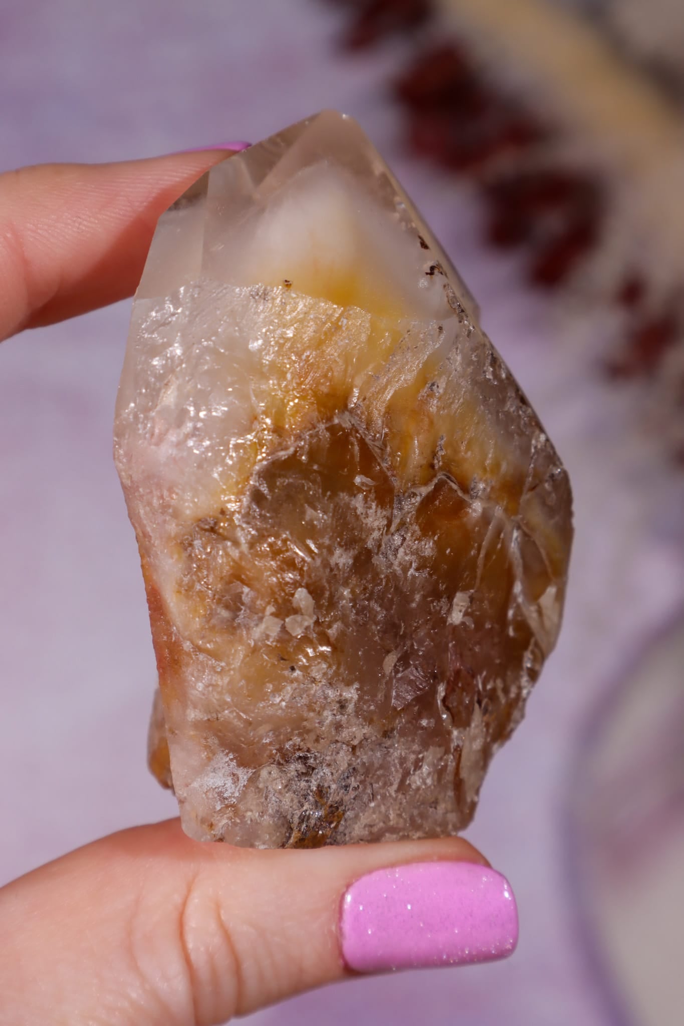 Amphibole Quartz Point | 61mm | Brazil Towers Tali & Loz Crystals