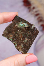 Andamooka Opal | 3.9cm | Australia Minerals Tali & Loz Crystals