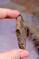 Andamooka Opal | 3.9cm | Australia Minerals Tali & Loz Crystals
