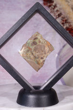 Andamooka Opal | 3.9cm | Australia Minerals Tali & Loz Crystals
