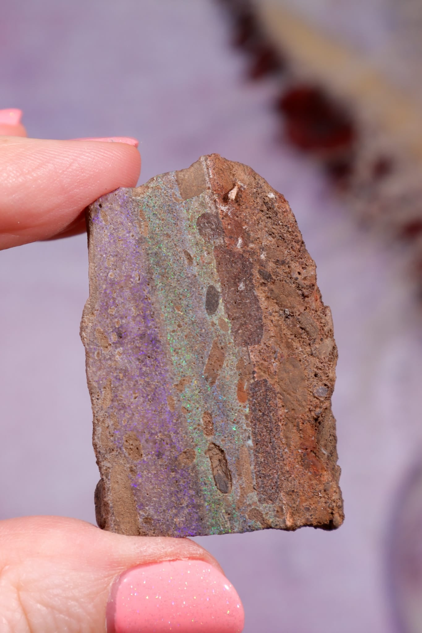 Andamooka Opal | 4.3cm | Australia Minerals Tali & Loz Crystals