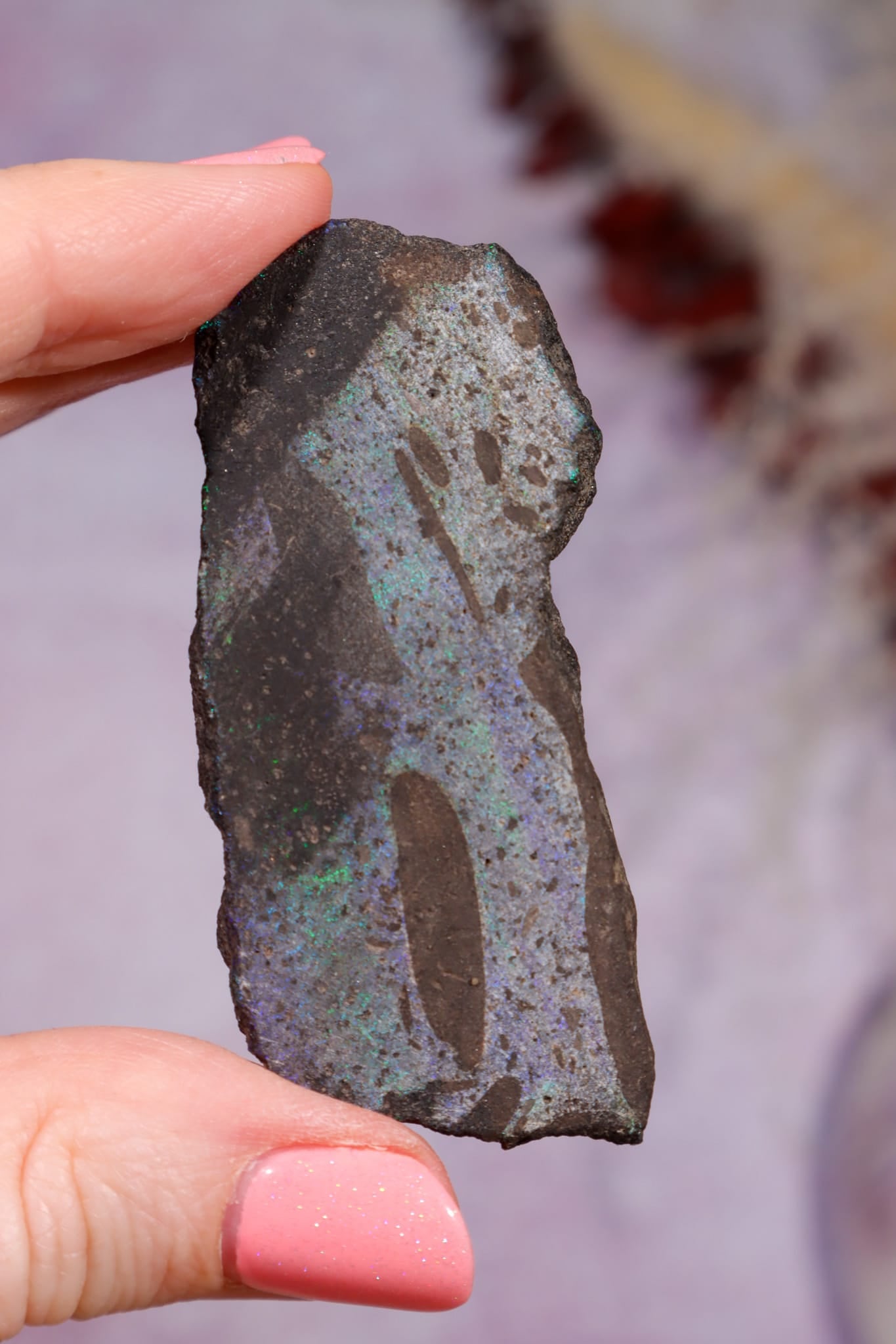 Andamooka Opal | 5.9cm | Australia Minerals Tali & Loz Crystals