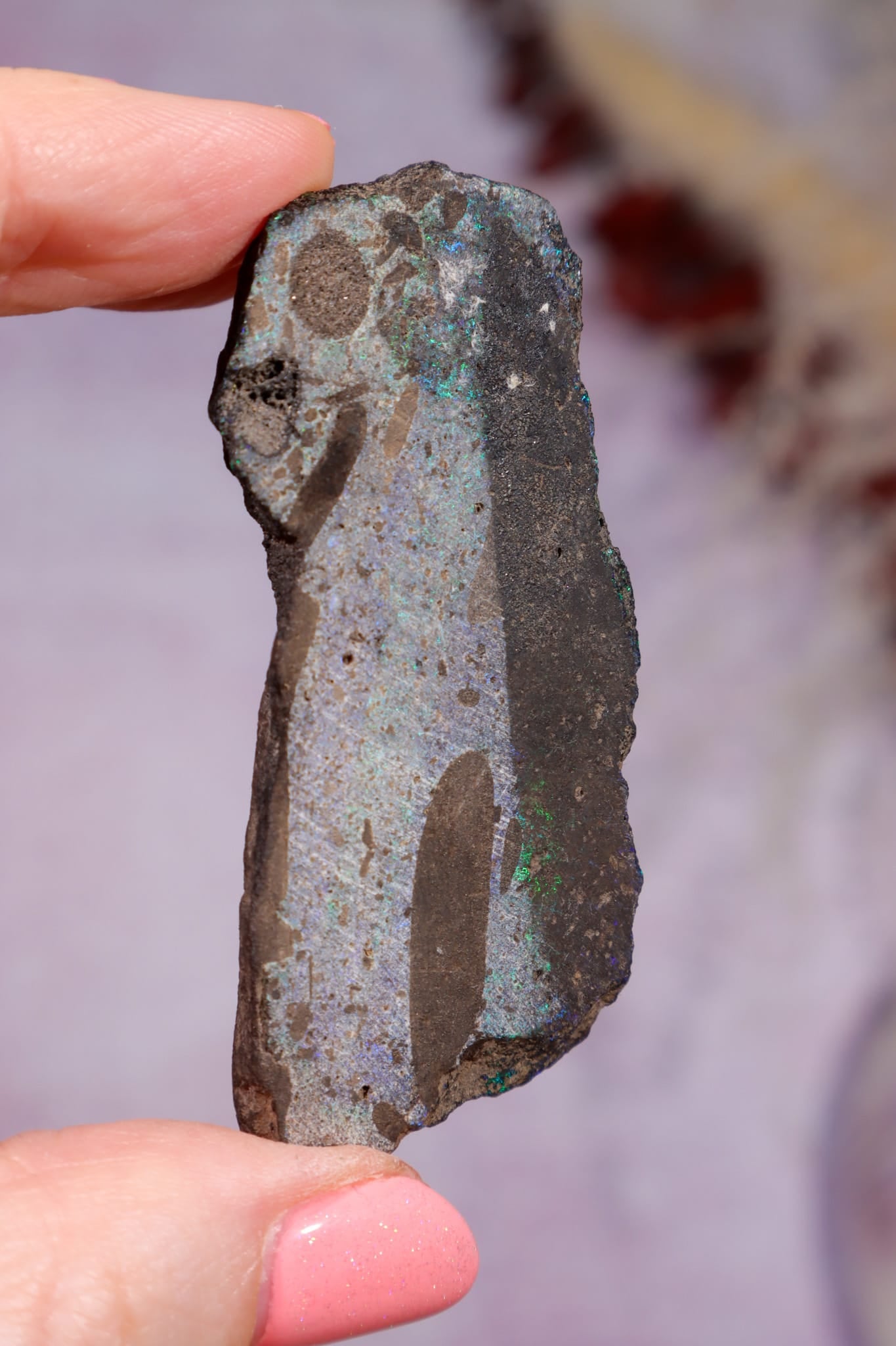 Andamooka Opal | 5.9cm | Australia Minerals Tali & Loz Crystals