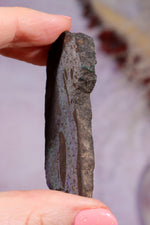 Andamooka Opal | 5.9cm | Australia Minerals Tali & Loz Crystals