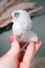 Apophyllite Specimen With Stalactite Eyes 8.5cm Specimens Tali & Loz Crystals