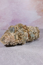 Aquamarine and Muscovite Large Specimen 20cm Specimens Tali & Loz Crystals