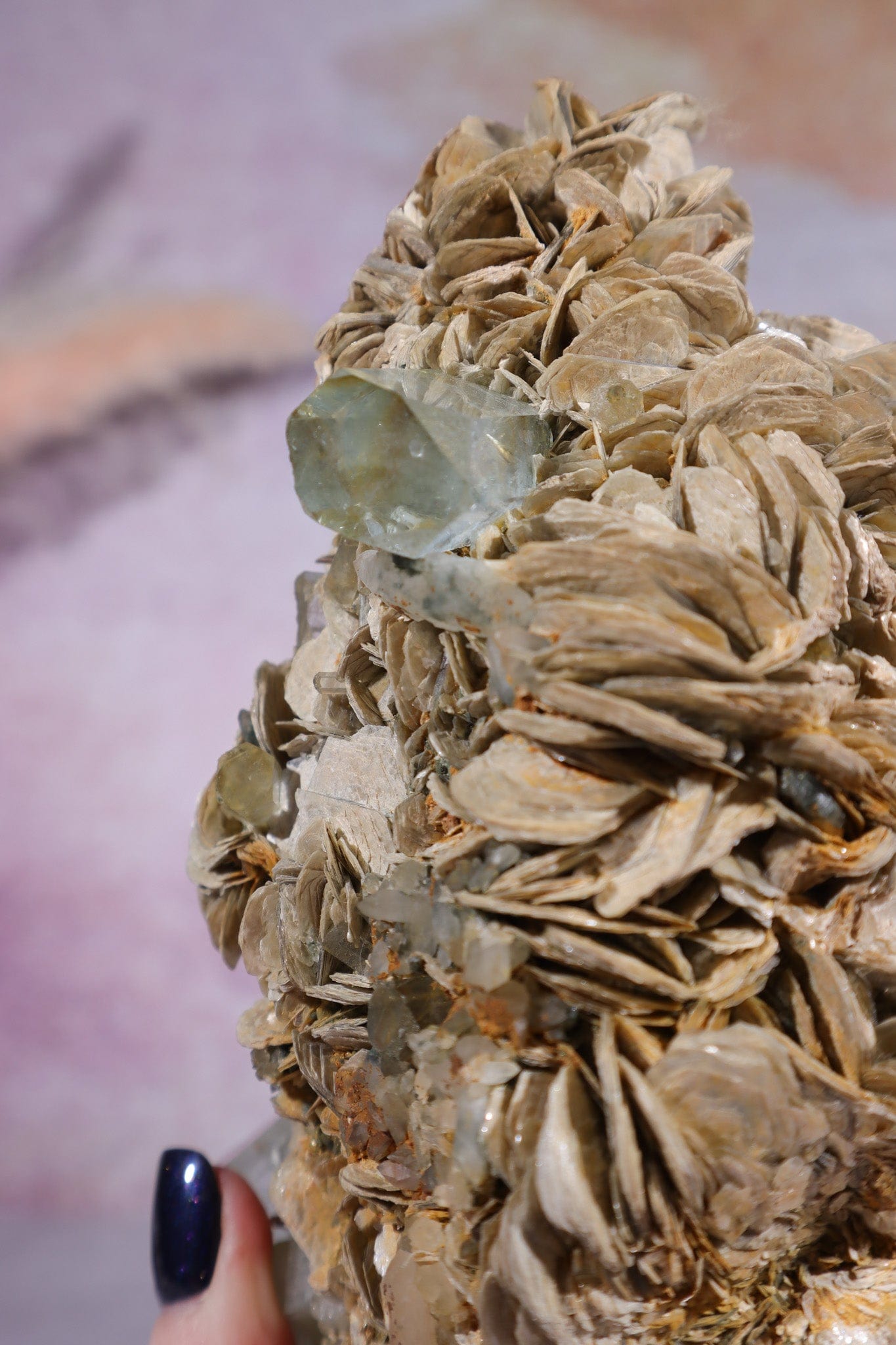 Aquamarine and Muscovite Large Specimen 20cm Specimens Tali & Loz Crystals