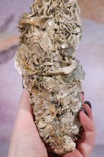 Aquamarine and Muscovite Large Specimen 20cm Specimens Tali & Loz Crystals