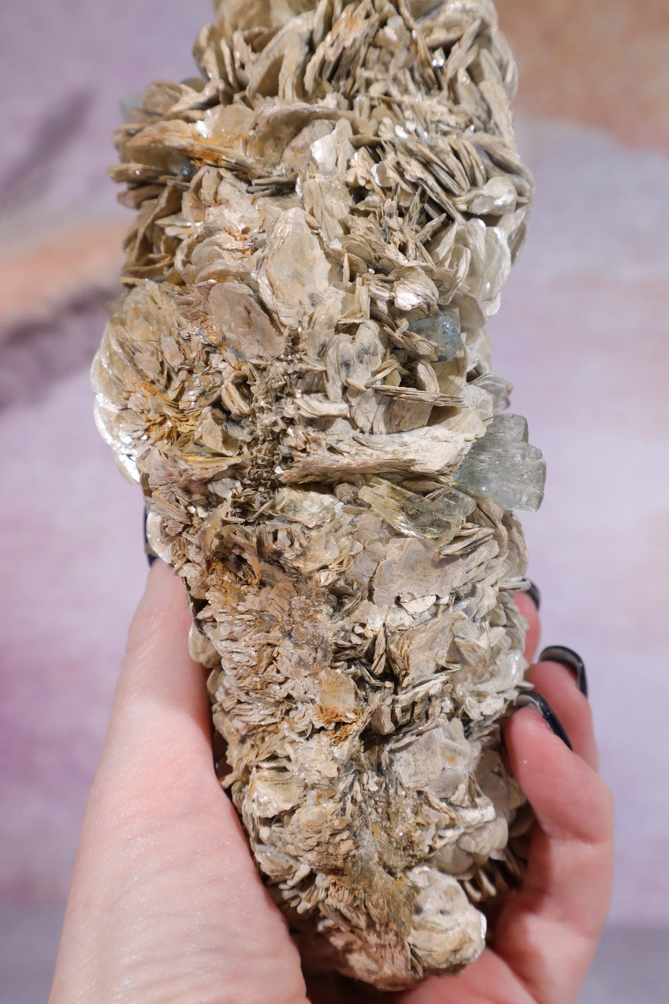 Aquamarine and Muscovite Large Specimen 20cm Specimens Tali & Loz Crystals