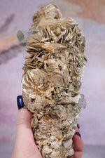 Aquamarine and Muscovite Large Specimen 20cm Specimens Tali & Loz Crystals