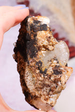 Aquamarine, Muscovite, Feldspar and Wolframite Specimen Specimens Tali & Loz Crystals