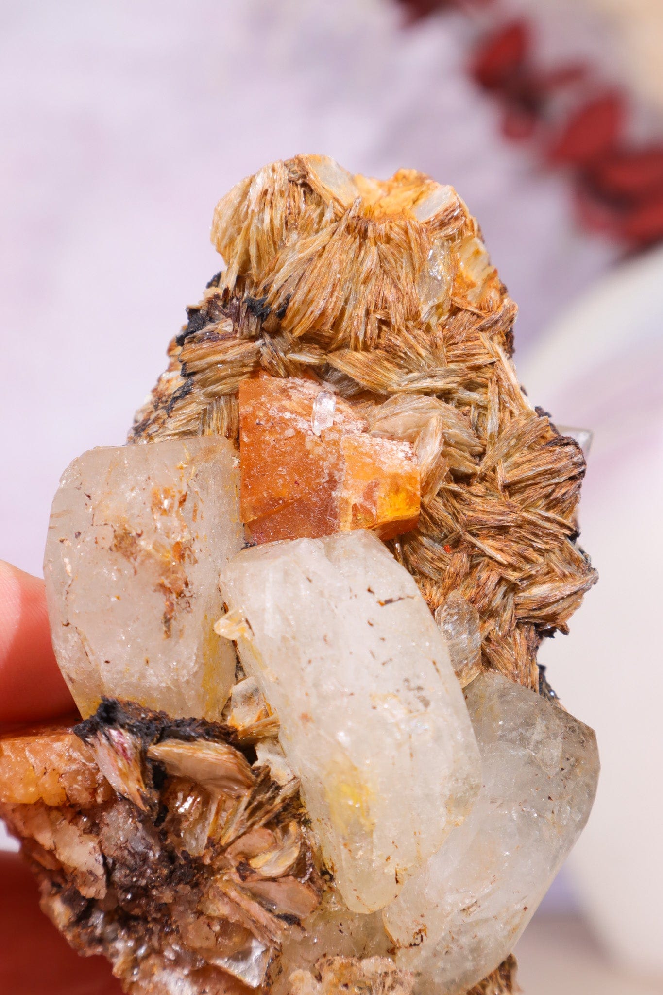 Aquamarine, Muscovite, Feldspar and Wolframite Specimen Specimens Tali & Loz Crystals