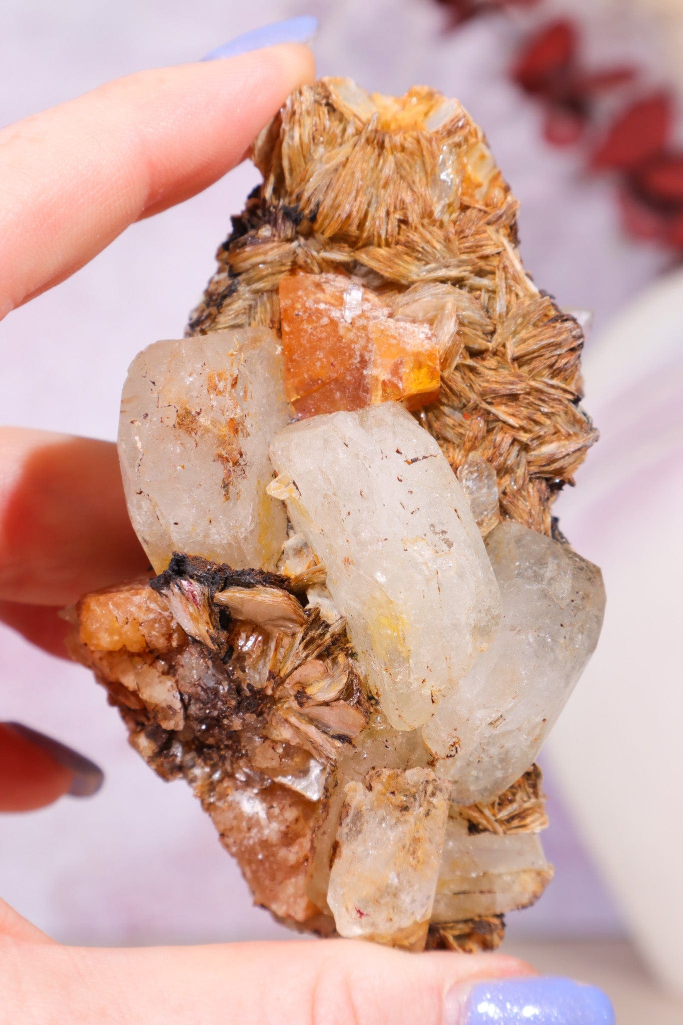 Aquamarine, Muscovite, Feldspar and Wolframite Specimen Specimens Tali & Loz Crystals