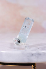 Aquamarine with Tourmaline Inclusions, Sold as Seen Specimen Tali & Loz Crystals