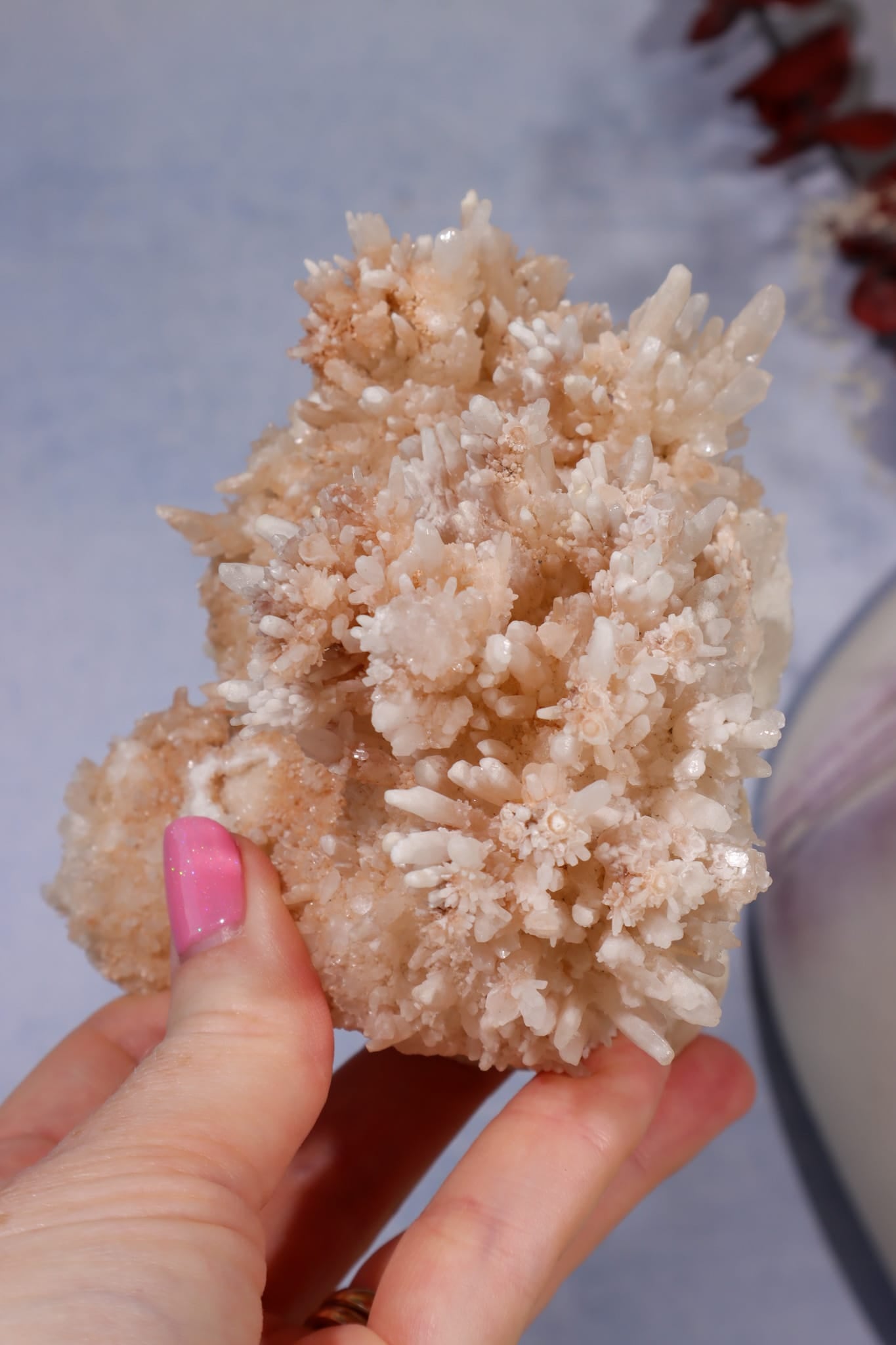 Aragonite Coral Cluster | 10cm | Morocco Minerals Tali & Loz Crystals