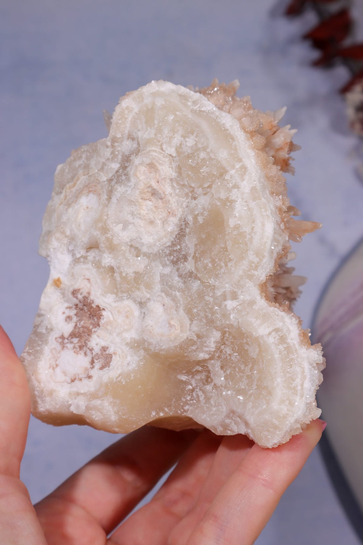 Aragonite Coral Cluster | 10cm | Morocco Minerals Tali & Loz Crystals