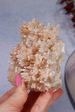 Aragonite Coral Cluster | 10cm | Morocco Minerals Tali & Loz Crystals