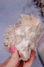 Aragonite Coral Cluster | 10cm | Morocco Minerals Tali & Loz Crystals