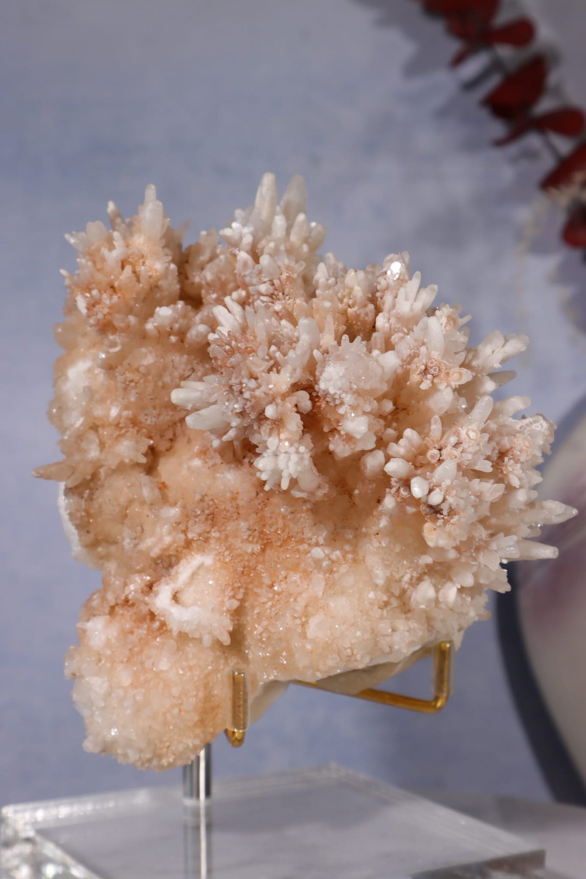 Aragonite Coral Cluster | 10cm | Morocco Minerals Tali & Loz Crystals