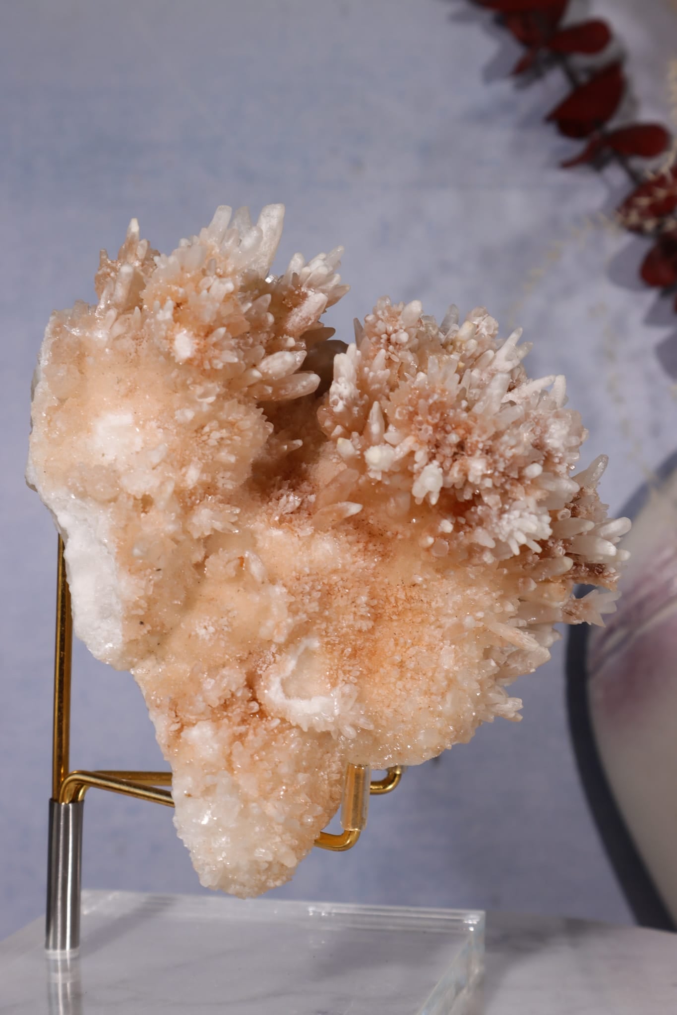 Aragonite Coral Cluster | 10cm | Morocco Minerals Tali & Loz Crystals