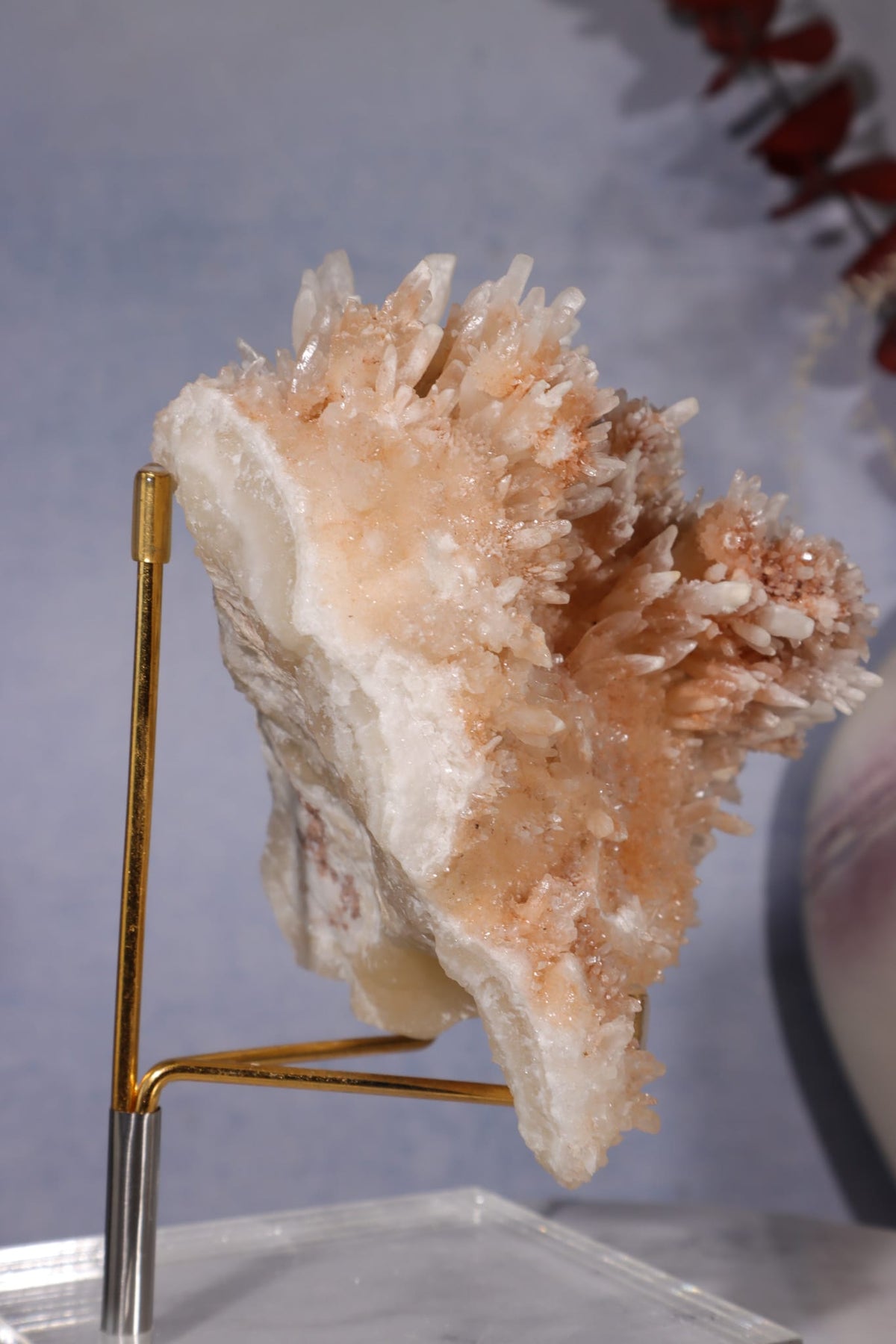 Aragonite Coral Cluster | 10cm | Morocco Minerals Tali & Loz Crystals
