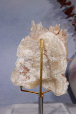 Aragonite Coral Cluster | 10cm | Morocco Minerals Tali & Loz Crystals