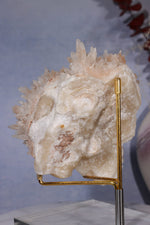 Aragonite Coral Cluster | 10cm | Morocco Minerals Tali & Loz Crystals