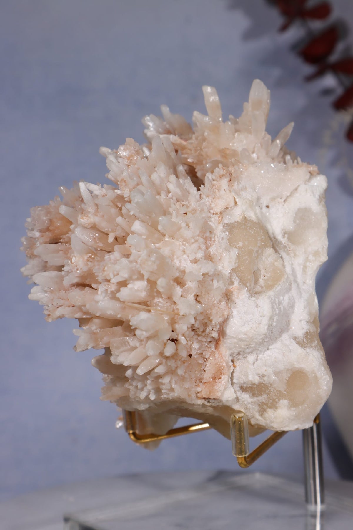 Aragonite Coral Cluster | 10cm | Morocco Minerals Tali & Loz Crystals