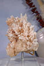 Aragonite Coral Cluster | 10cm | Morocco Minerals Tali & Loz Crystals