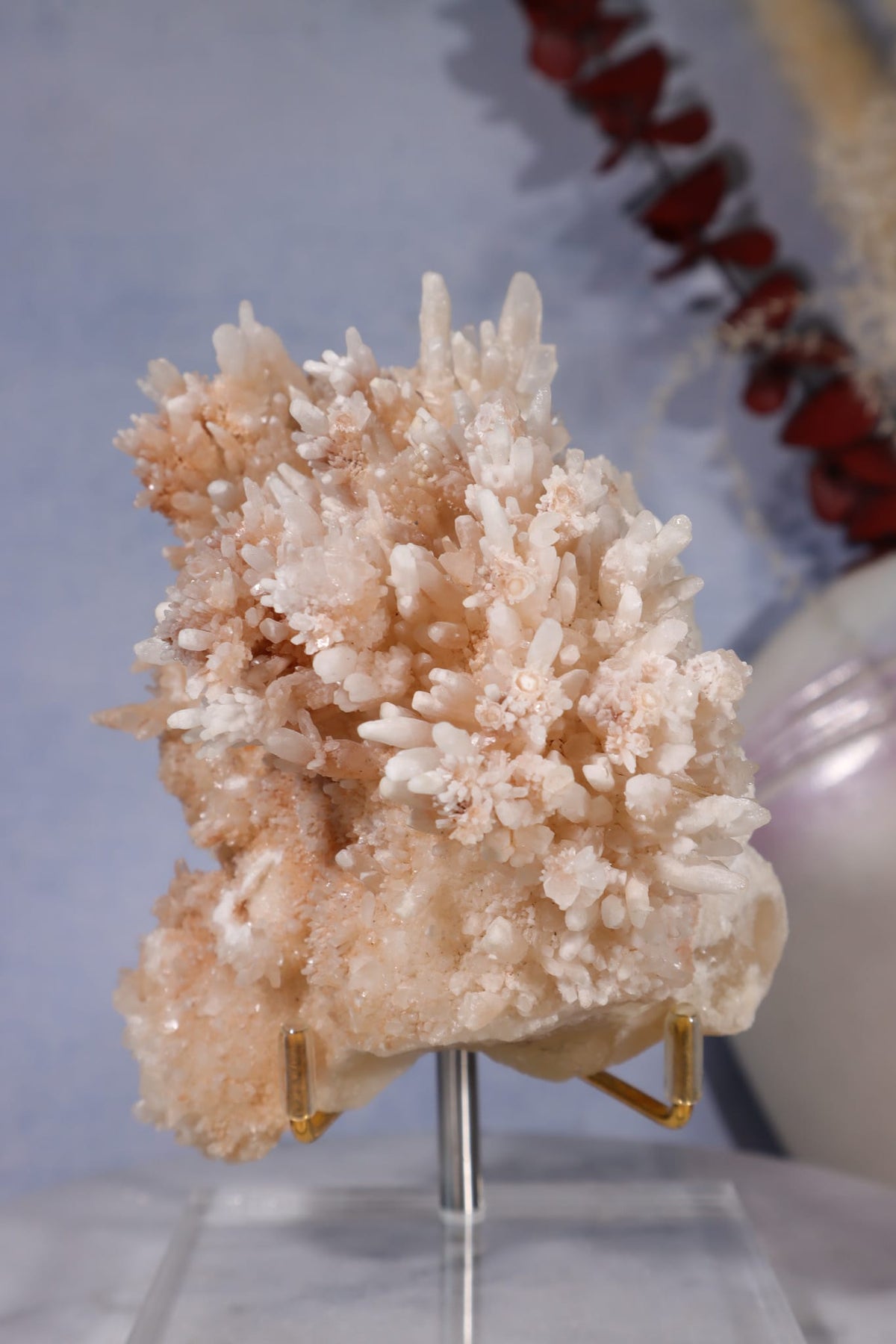 Aragonite Coral Cluster | 10cm | Morocco Minerals Tali & Loz Crystals