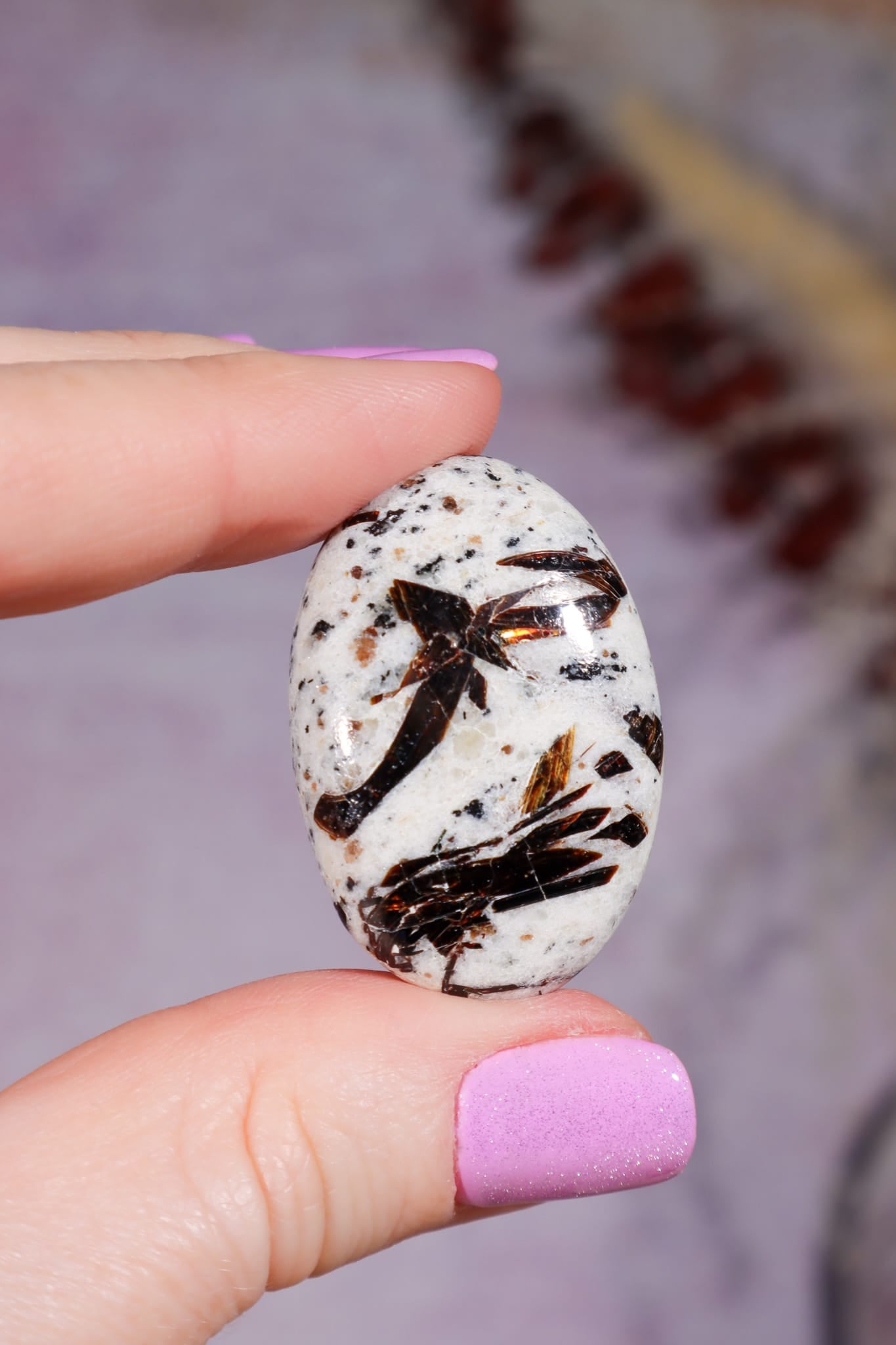 Astrophyllite Cabochon | Oval | Russia Cabochon C - Size: Size: 3.5 × 2.3 × 0.6 cm | Weight: 8.71g Tali & Loz Crystals