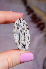 Astrophyllite Cabochon | Oval | Russia Cabochon Tali & Loz Crystals