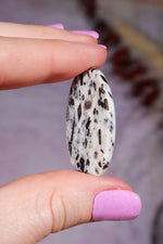 Astrophyllite Cabochon | Oval | Russia Cabochon Tali & Loz Crystals