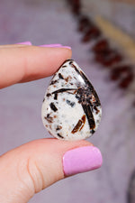 Astrophyllite Cabochon | Teardrop | Russia Cabochon Piece B (large) -  Weight: 6.7g | Size: 3.1 × 2.4 × 0.5 cm Tali & Loz Crystals