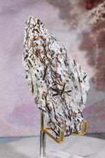 Astrophyllite Mineral Specimen 12cm Specimen Tali & Loz Crystals