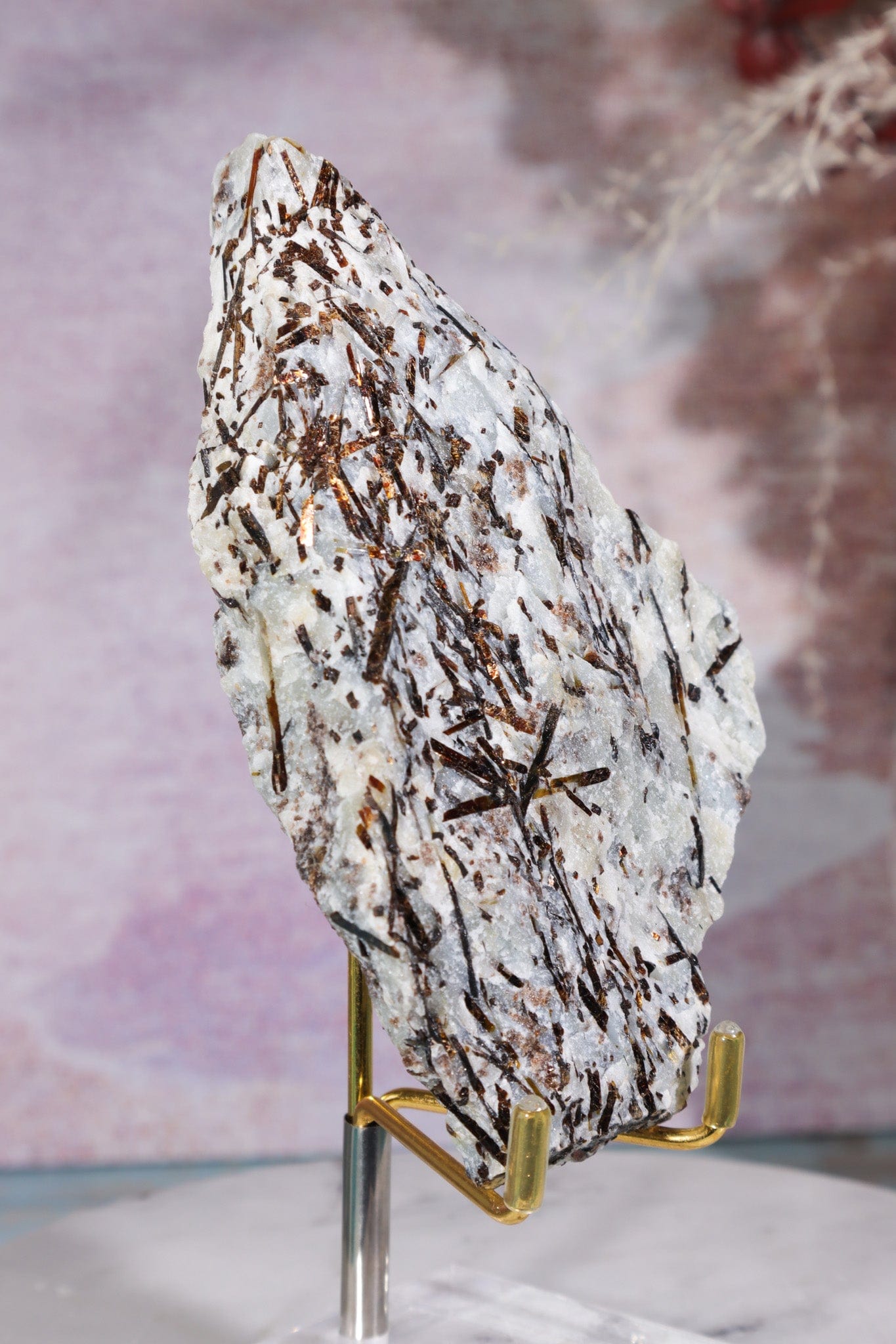 Astrophyllite Mineral Specimen 12cm Specimen Tali & Loz Crystals