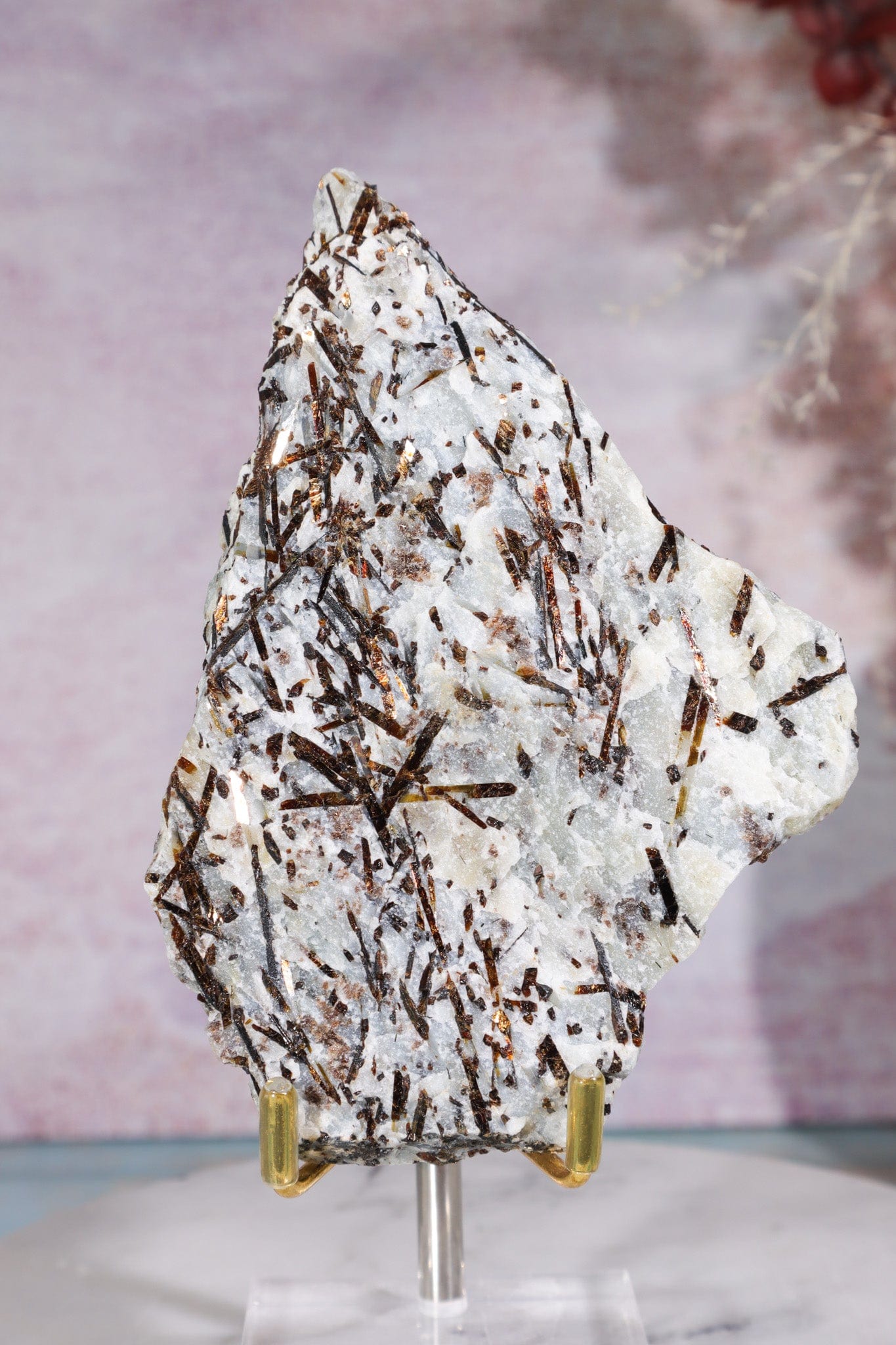 Astrophyllite Mineral Specimen 12cm Specimen Tali & Loz Crystals