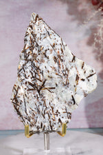 Astrophyllite Mineral Specimen 12cm Specimen Tali & Loz Crystals