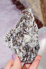 Astrophyllite Mineral Specimen 12cm Specimen Tali & Loz Crystals