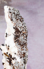 Astrophyllite Mineral Specimen 14cm Specimen Tali & Loz Crystals